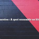 Question : À quoi ressemble un kiwi
